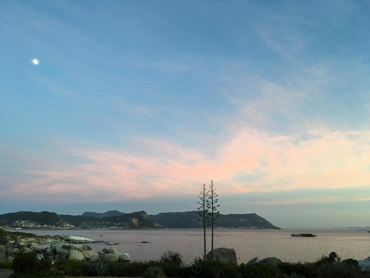 Bosky Dell On Boulders Beach Simon's Town Exterior photo